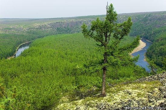 Город - Нерюнгри. Города России. Пост номер 43. Фоторепортаж