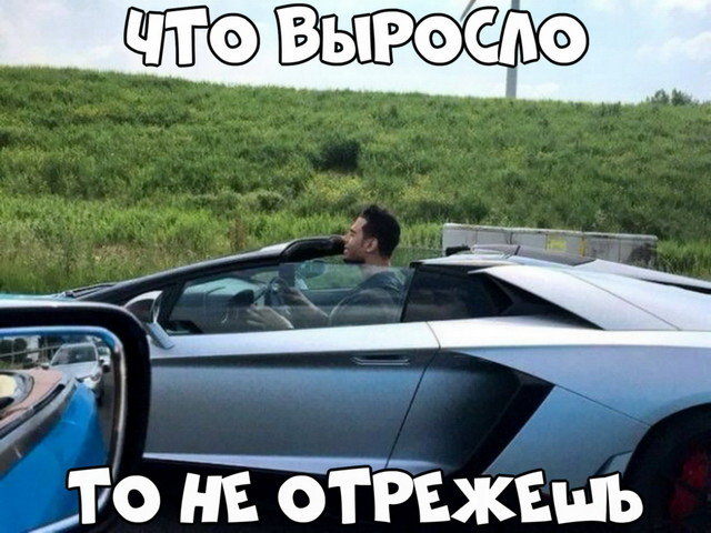 Автовсячина