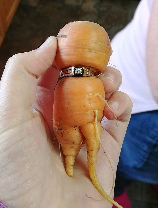 Морковь, как ты это делаешь? Вывод: что-то потеряли - смотрите в моркови