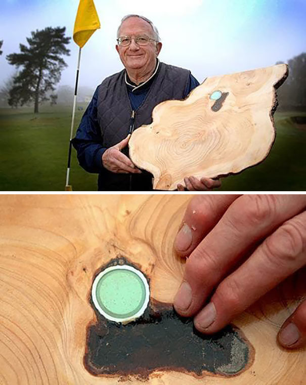Он нашел свой мяч для гольфа в дереве спустя годы