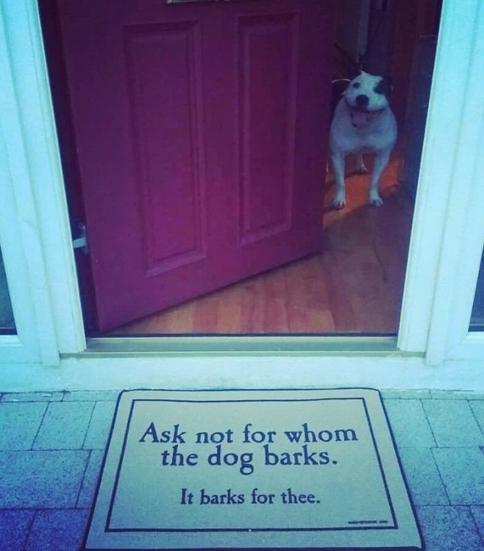 "Не спрашивай, на кого лает собака. На тебя"