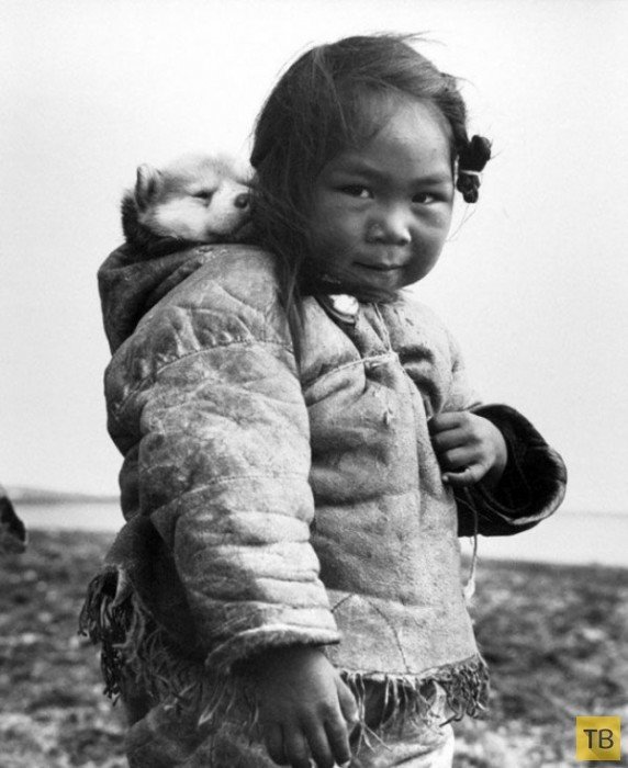 Маленькая эскимоска и ее хаски, 1949 г