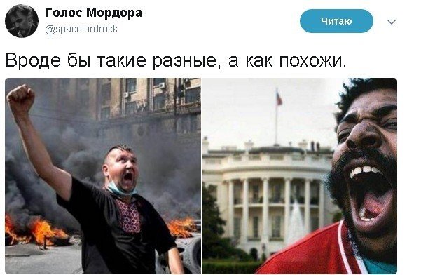 САМАЯ ПРАВДИВАЯ ПРАВДА ОБ АМЕРИКАНСКОМ МАЙДАНЕ
