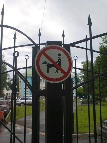 В парке запрещено...гулять с собаками
