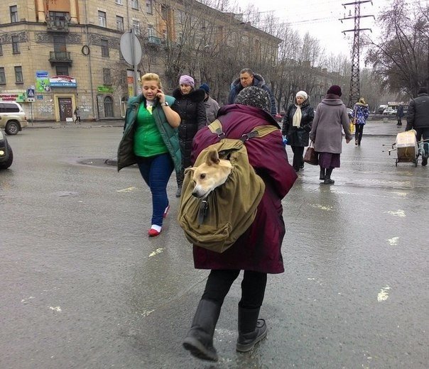 Брутальность этих людей просто зашкаливает!