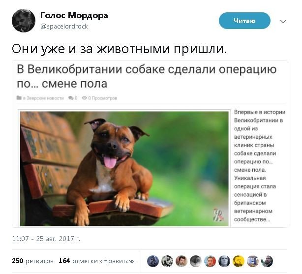 Политические комментарии и картинки из соц. сетей ORIGINAL* 25/08/2017