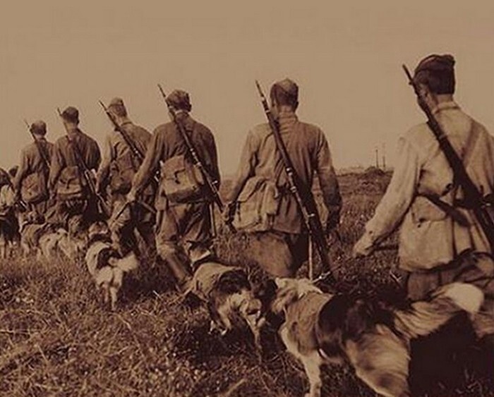 Уроки Славы ч.2. Бой пограничных собак с фашистскими оккупантами