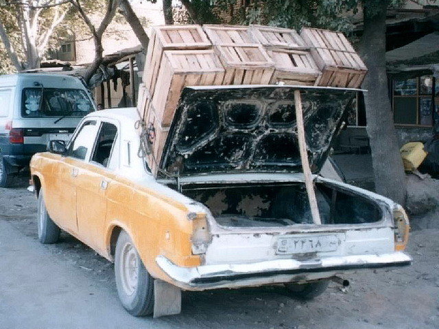 Автовсячина