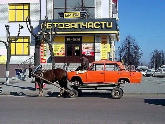 Автовсячина