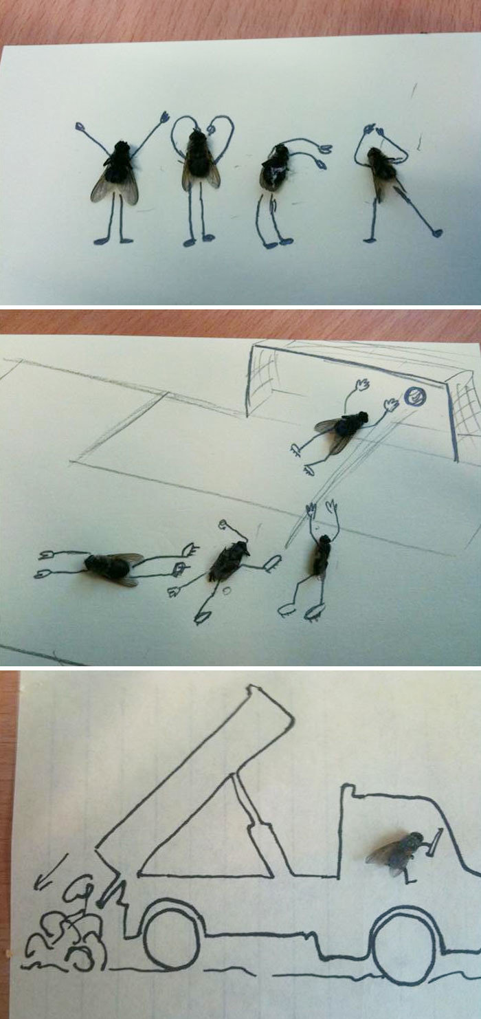 Рисунки с мертвыми мухами
