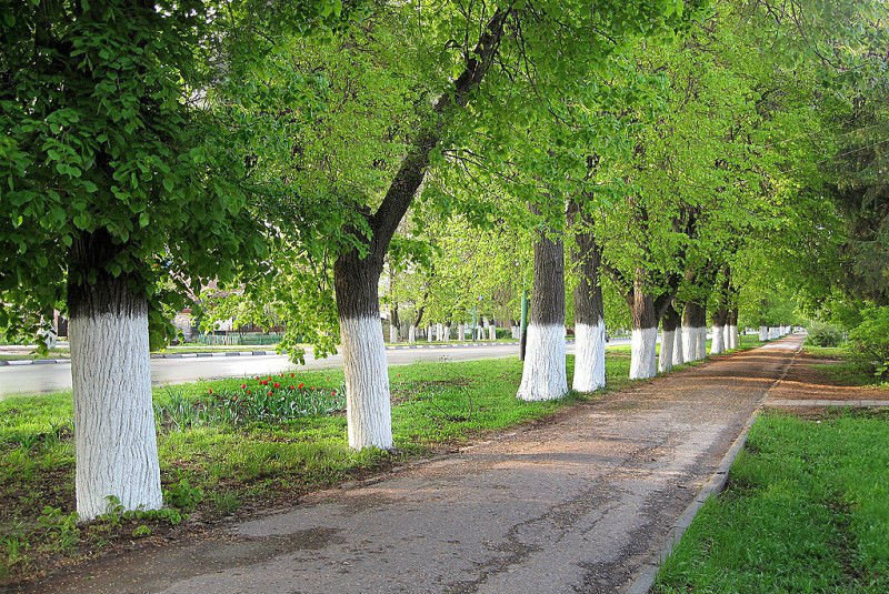 Город - Лебедянь. Города России. Пост номер 46. Фоторепортаж