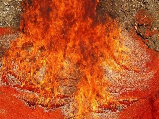 Уничтожение красной икры на Камчатке