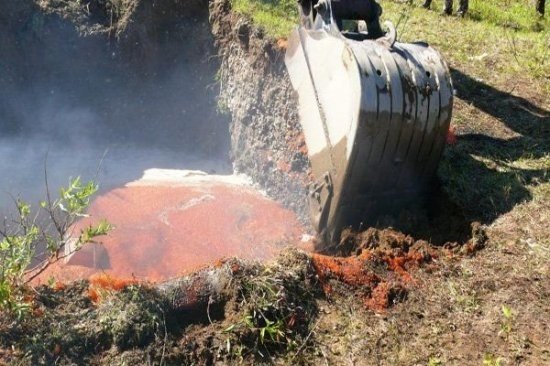 Уничтожение красной икры на Камчатке