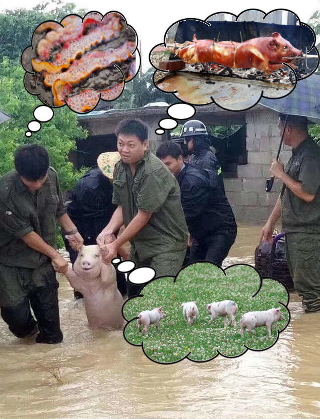 Счастливая свинья, спасенная от наводнения, стала новой звездой битвы фотошоперов
