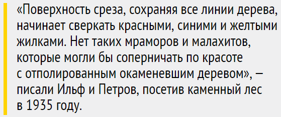 Деревья-самоцветы: как поленья становятся кристаллами