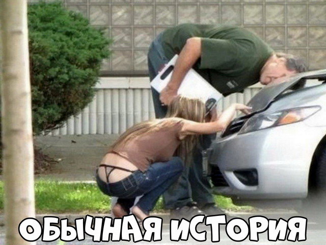 Автовсячина