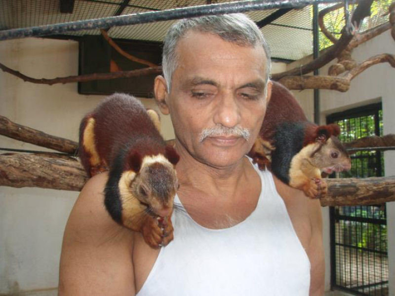 Индийская семья приютила сотни осиротевших диких животных, превратив свой дом в заповедник