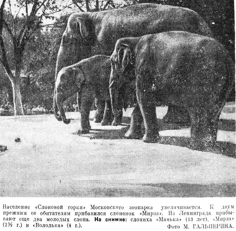 «Рабочая Москва», 28 августа 1937 г.