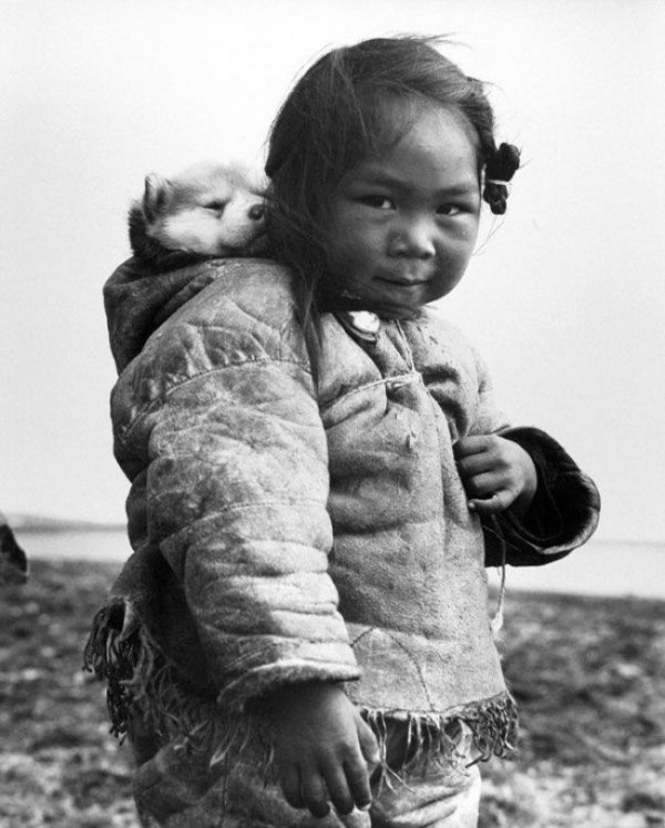 Маленькая эскимоска и ее хаски, 1949 г.