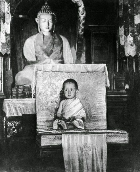 Далай Лама, 2 года. 1937 г.
