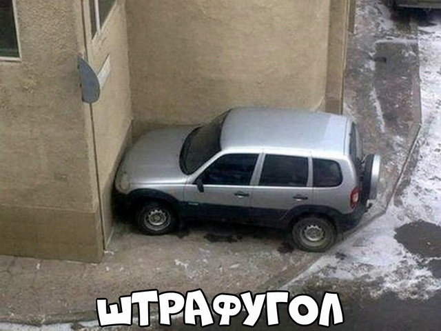 Автовсячина