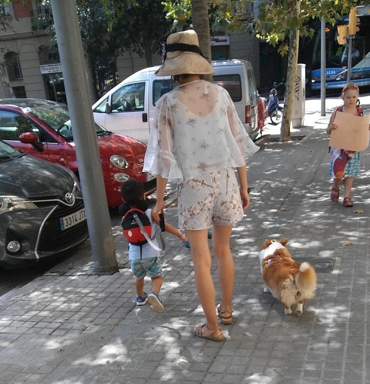 3. Ребенок на поводке, а собачка свободно прогуливается 