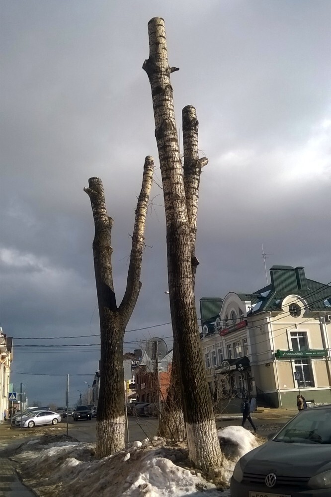 Средневековье современной России или Сады наших городов