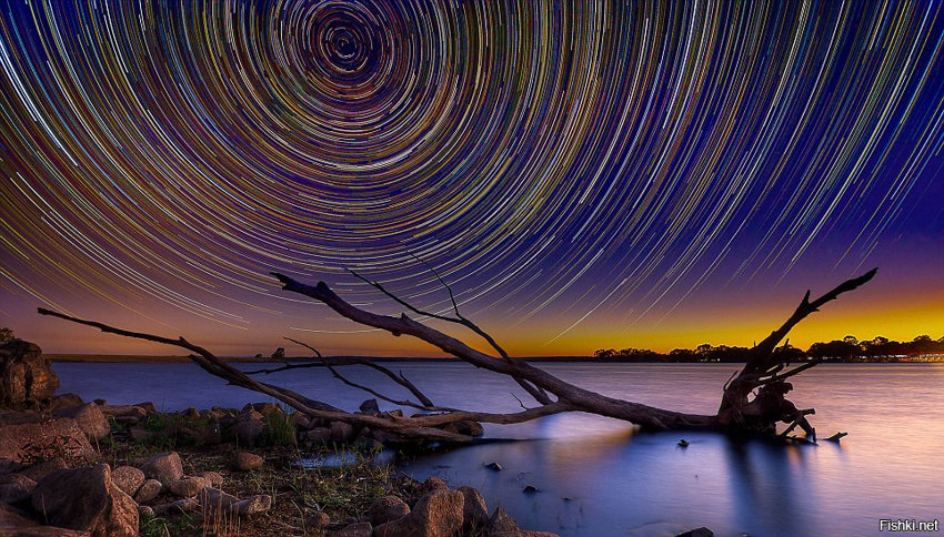 Photography Startrails by Lincoln Harrison