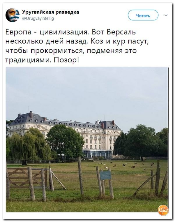 Политические коментарии соцсетей - 202