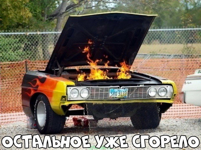 Автовсячина