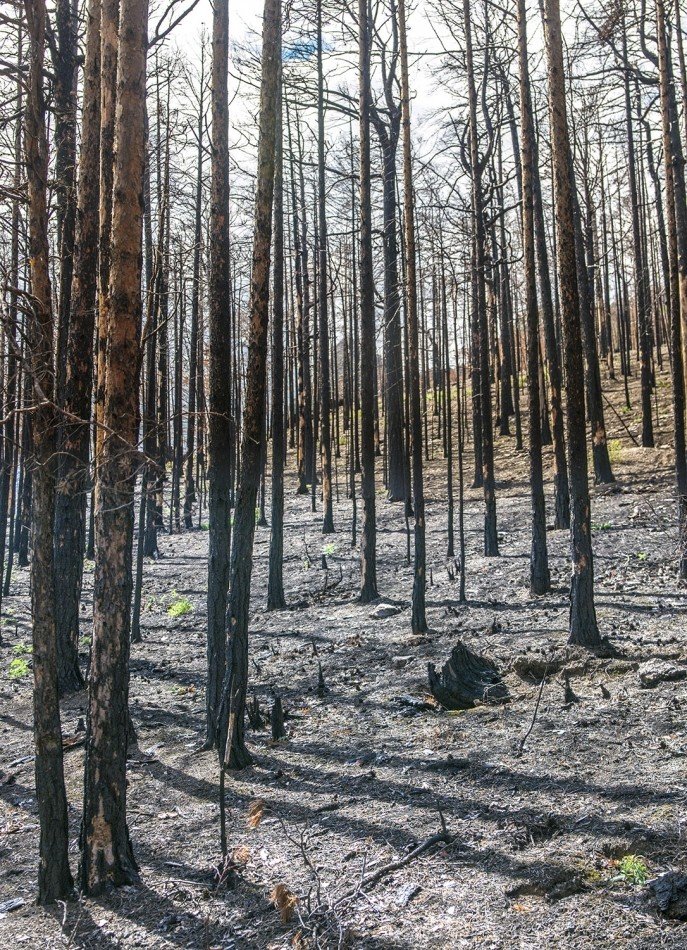 Байкал. Пеший поход Бугульдейка — Листвянка