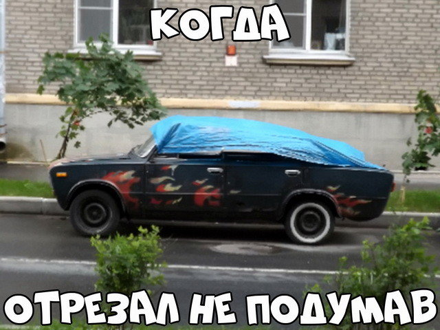 Автовсячина