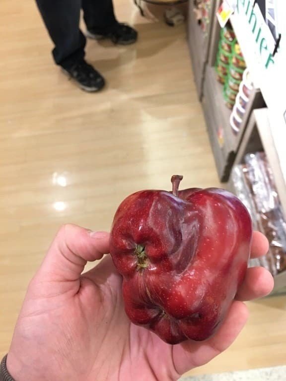 Самое уродливое яблоко в мире...