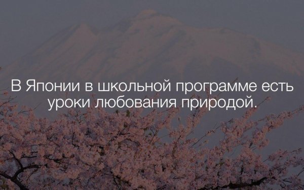 Картинки для подъёма настроения