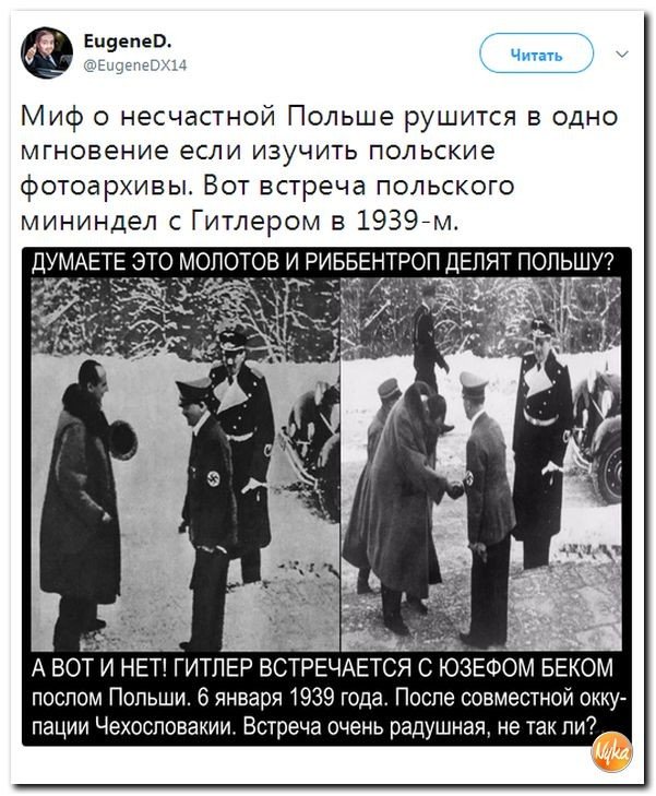 Политические коментарии соцсетей - 206
