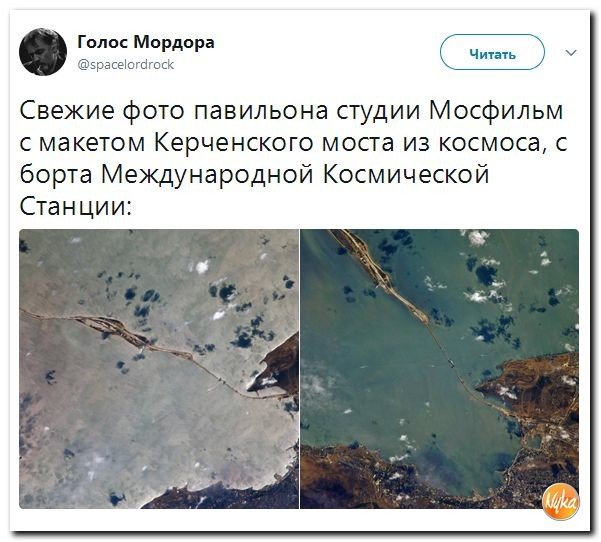 Политические коментарии соцсетей - 206