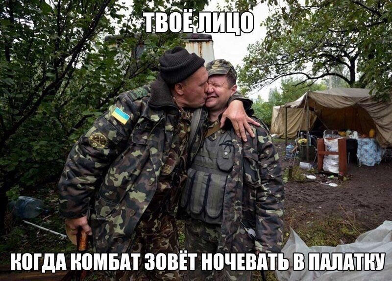 Политические коментарии соцсетей - 206