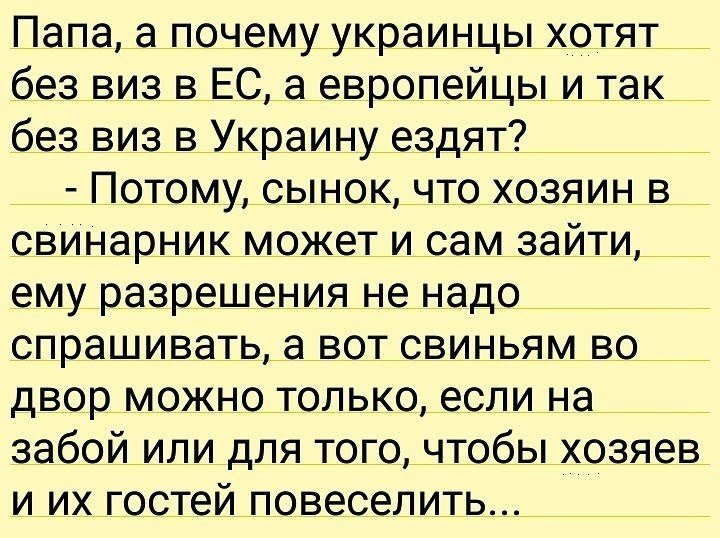 Политические коментарии соцсетей - 206