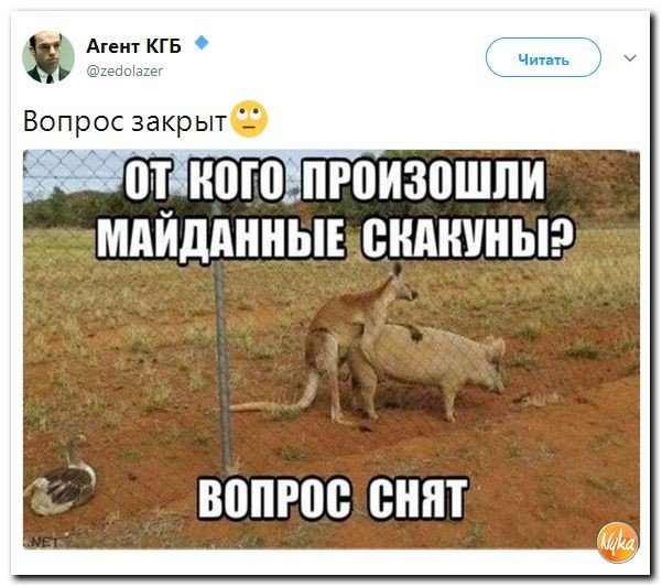 Политические коментарии соцсетей - 206