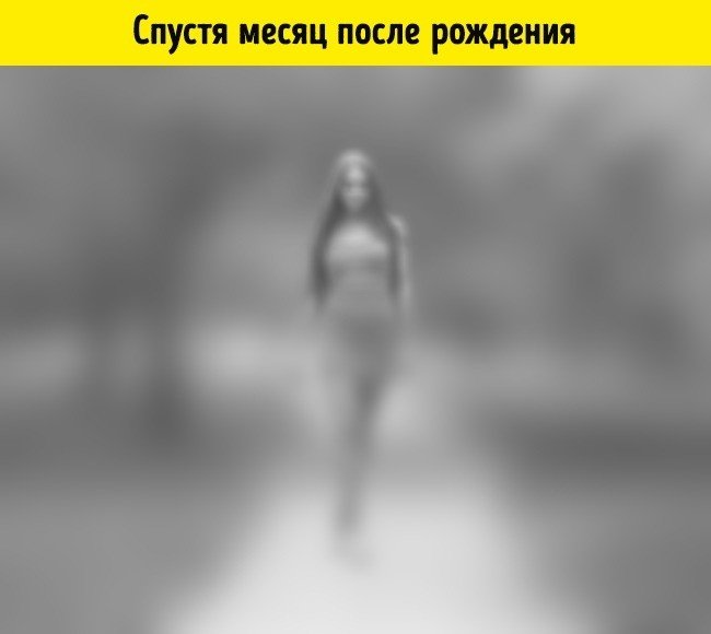 В первый месяц в той же «заблюренной» картине ребенок начинает различать крупные предметы и предметы на расстоянии 20 см (например, мать при кормлении).