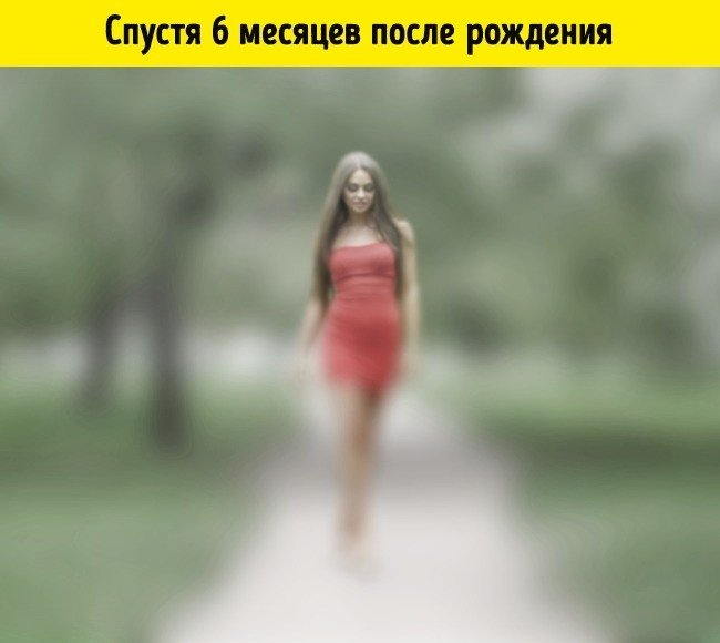 Через 3 месяца ребенок начинает распознавать лица родителей, а к 6 месяцам — цвета (особенно хорошо — красные и желтые).