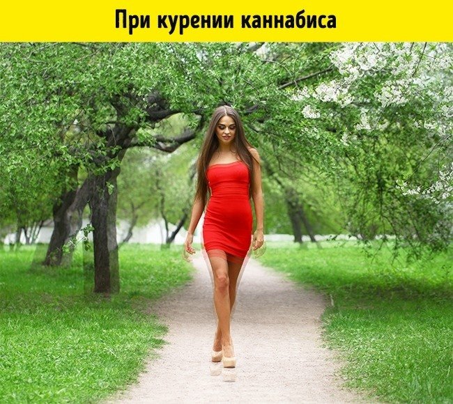 При курении каннабиса картина похожа на мир слегка пьяного человека.