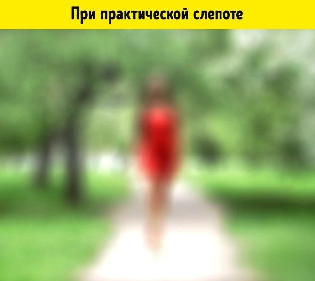 Так видят люди при практической слепоте. То есть они различают абстрактные силуэты, цвета и свет. Но, несмотря на это, в обществе они приравниваются к абсолютно слепым, так как уже не могут жить как «полноценно видящие».
