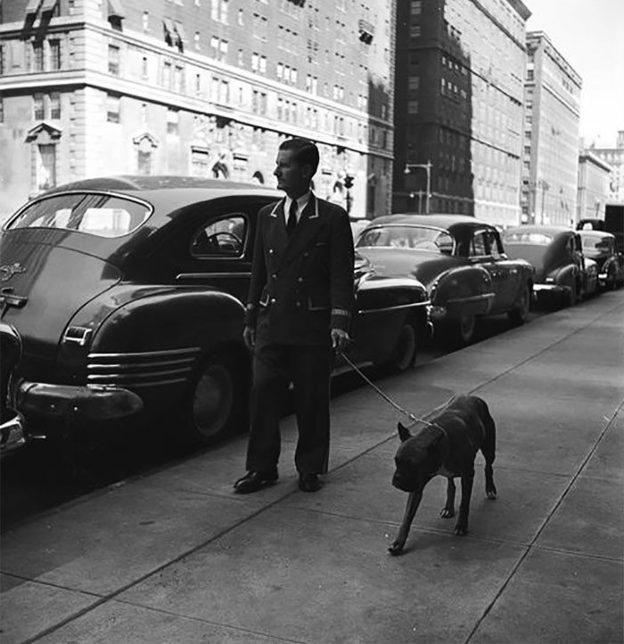 Привратник, выгуливающий собаку, 1949