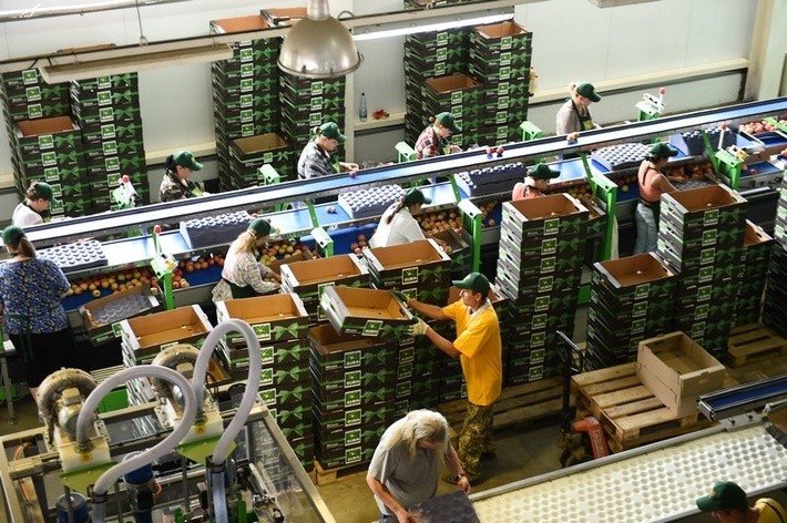 67. В Краснодарском крае открылось плодохранилище мощностью 6800 тонн