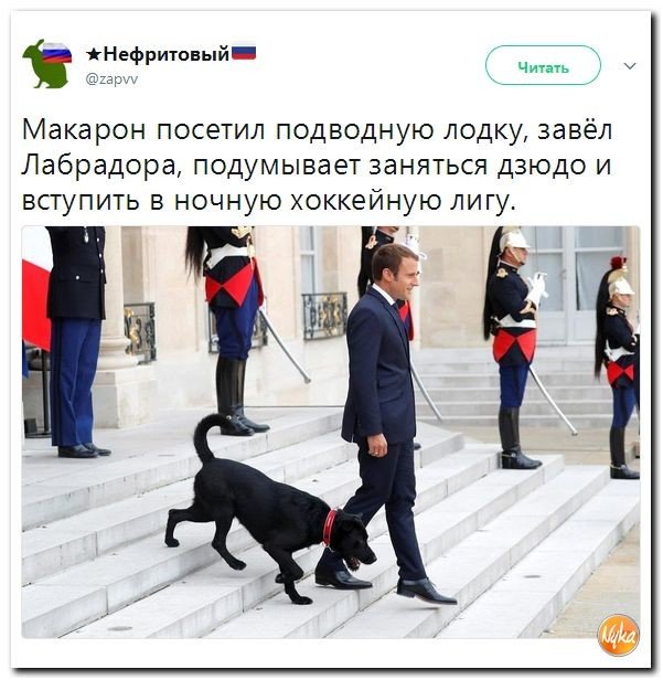 Политические коментарии соцсетей - 208