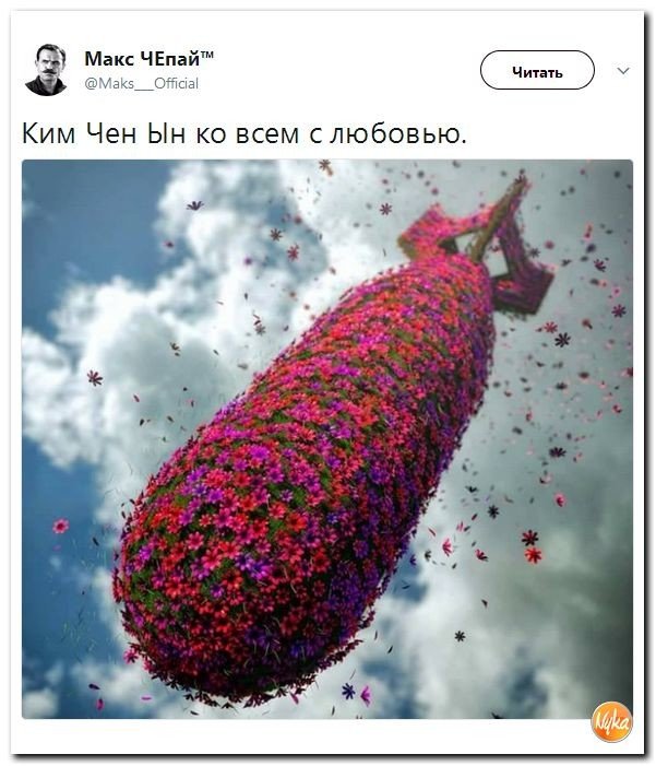 Политические коментарии соцсетей - 208