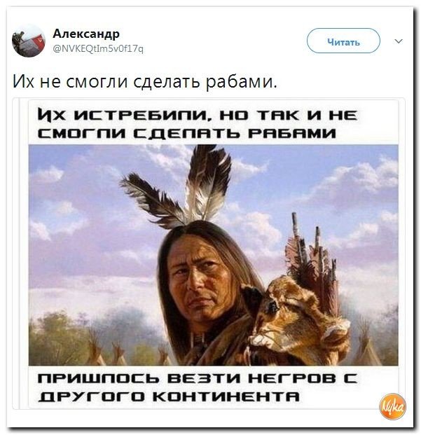 Политические коментарии соцсетей - 208