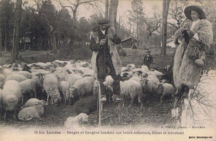 Пастухи на ходулях