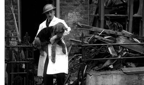 Неизвестная история: Британский холокост животных